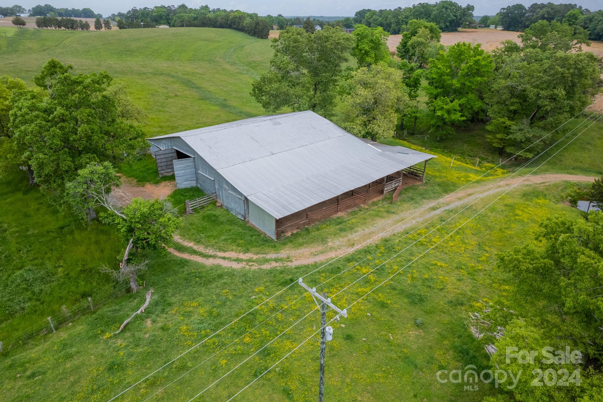 24686 Barbees Grove Road Oakboro, NC 28129 - Photo 26 of 35 a view of a big yard with potted plants and large tree