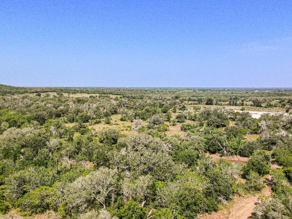 502 Robertson Road Smiley, TX 78159 - Photo 28 of 31 an aerial view of residential houses with city view