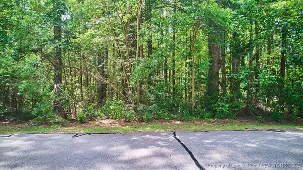 a view of a yard with plants and a trees