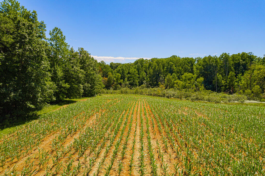 1936 East Clear Lake Road Buchanan, MI 49107 - Photo 23 of 44 004_dji_0103