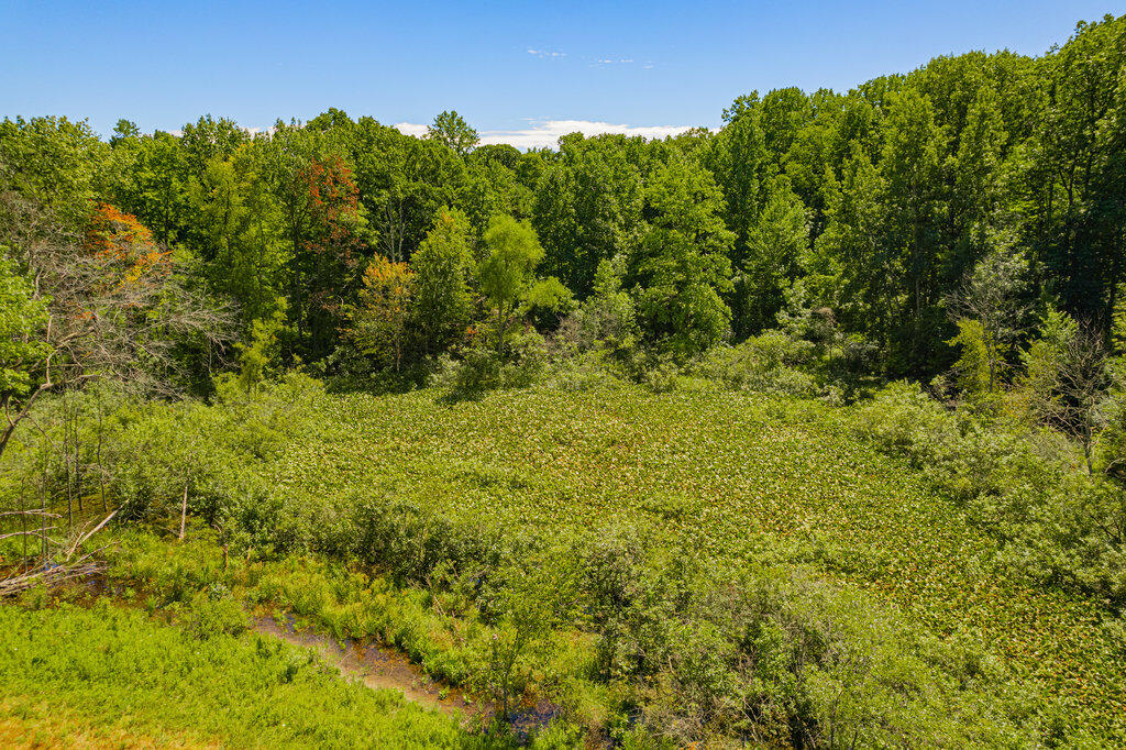1936 East Clear Lake Road Buchanan, MI 49107 - Photo 24 of 44 007_dji_0083