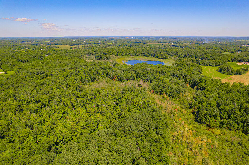 1936 East Clear Lake Road Buchanan, MI 49107 - Photo 28 of 44 019_dji_0048