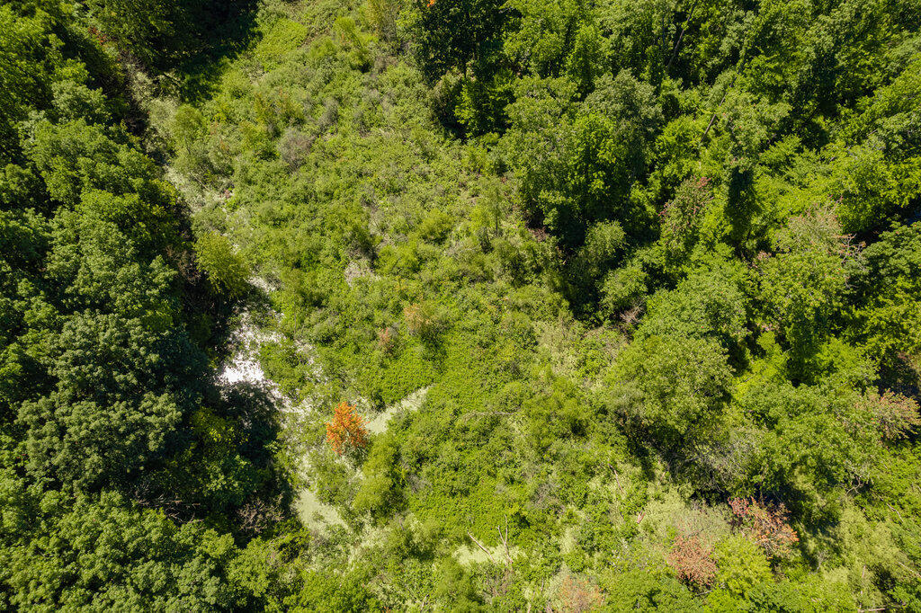 1936 East Clear Lake Road Buchanan, MI 49107 - Photo 32 of 44 025_dji_0969