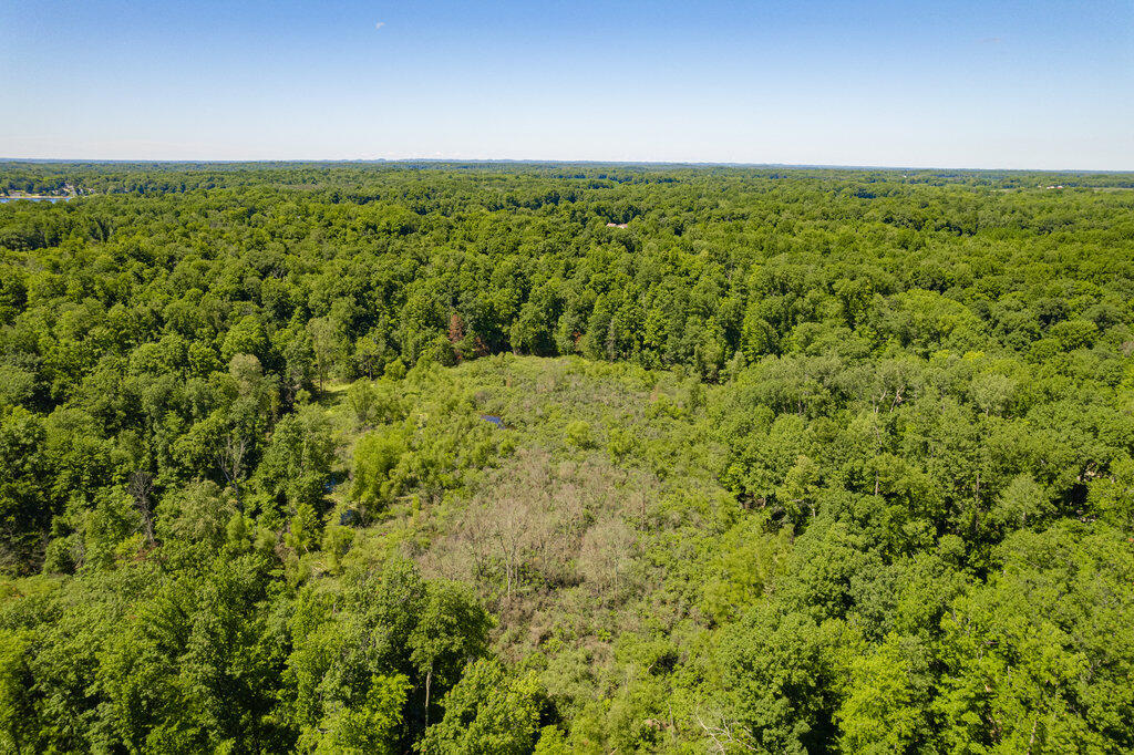 1936 East Clear Lake Road Buchanan, MI 49107 - Photo 33 of 44 026_dji_0972