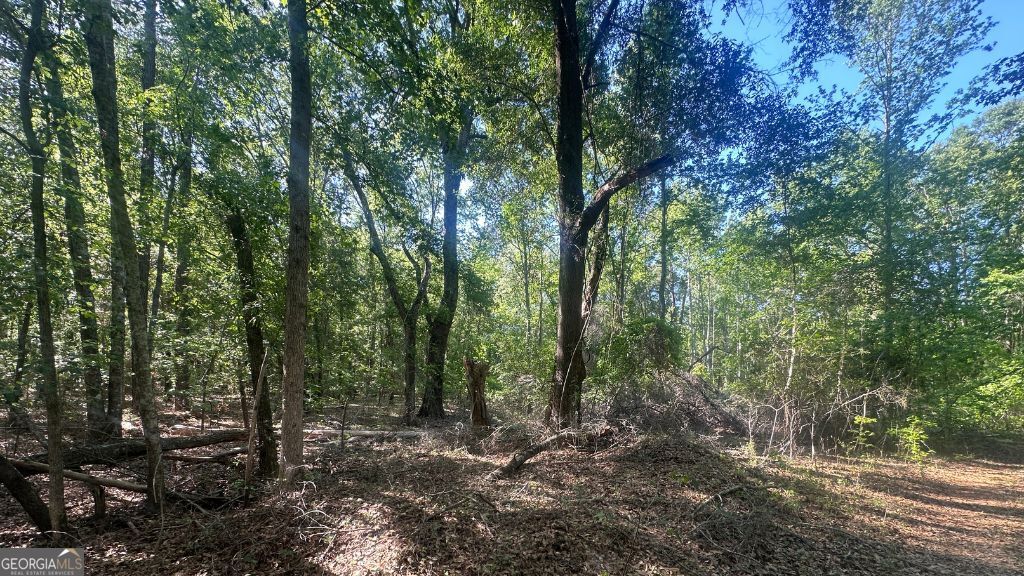 3 Country Club Road, Unit LOT 3 Sylvania, GA 30467 - Photo 25 of 31