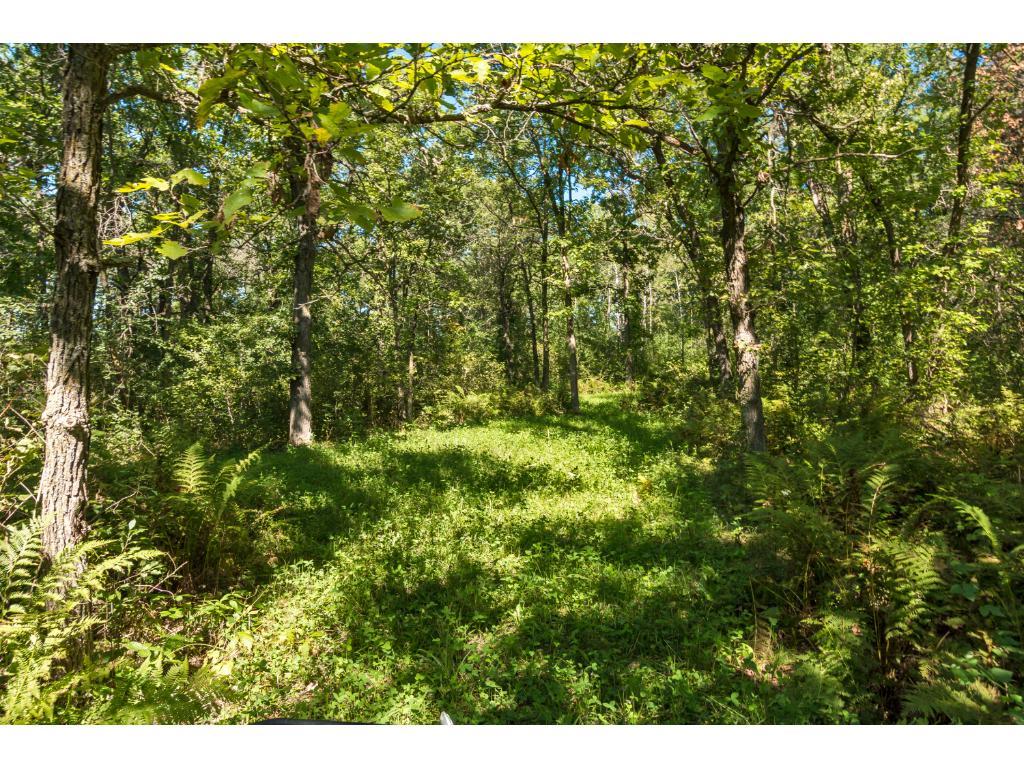 Tbd Jewel Road Little Falls, MN 56345 - Photo 14 of 20