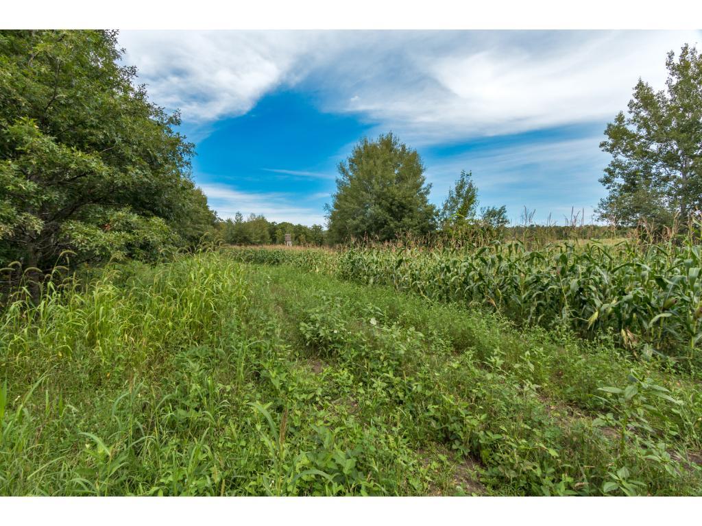 Tbd Jewel Road Little Falls, MN 56345 - Photo 7 of 20