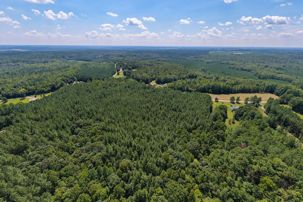 Davis Lowground Road, Unit 9 Keysville, VA 23947 - Photo 7 of 17 Gallery Image 7