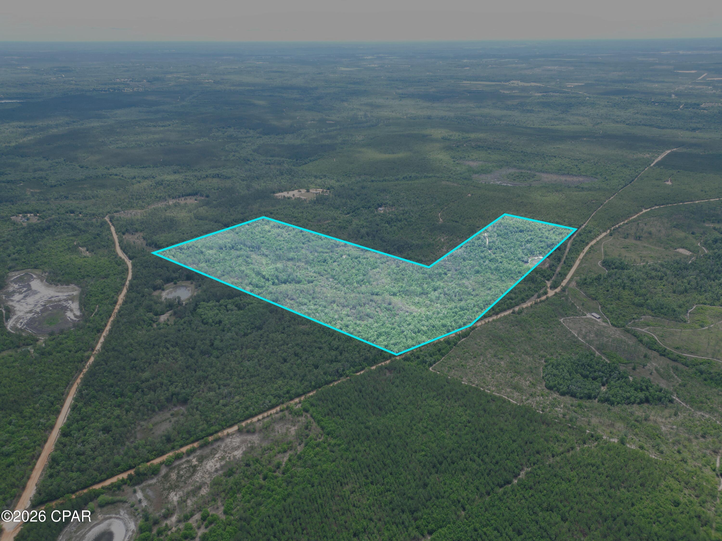 Tbd Pittman Hill Road Marianna, FL 32448 - Photo 8 of 8