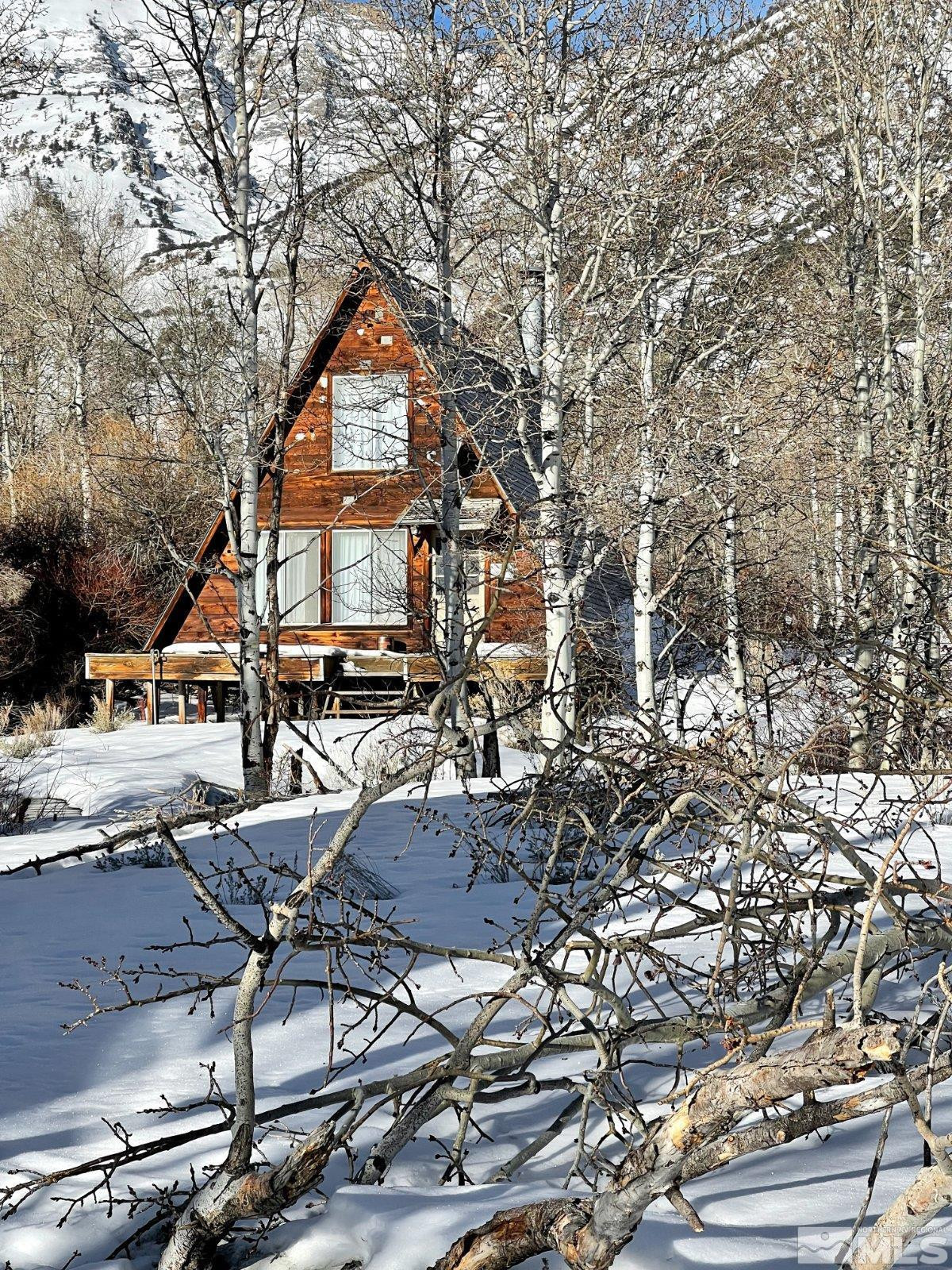 10873 Ruby Valley Road Spring Creek, NV 89815 - Photo 14 of 28 a view of house with backyard and patio