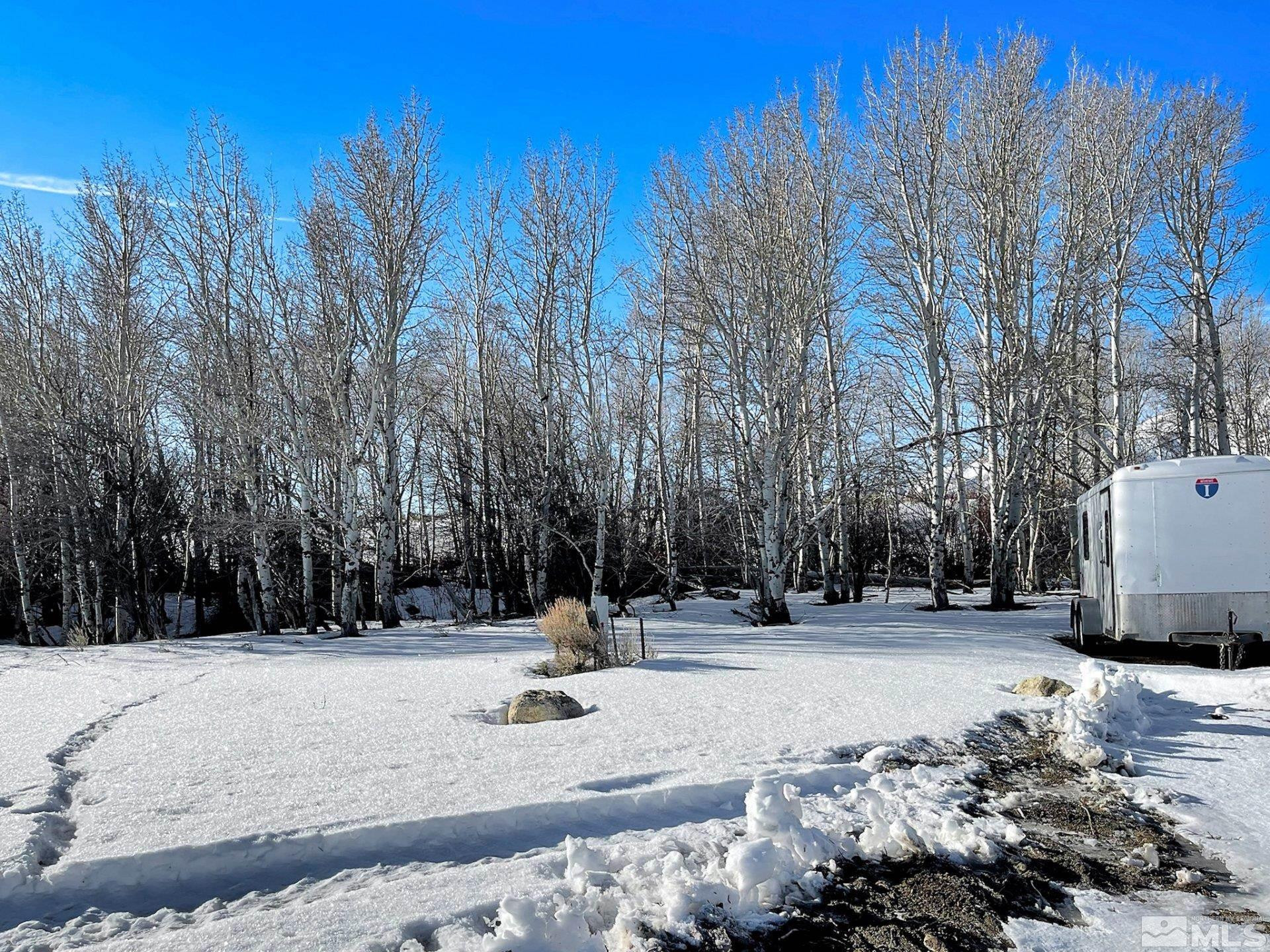 10873 Ruby Valley Road Spring Creek, NV 89815 - Photo 18 of 28 a view of road with trees