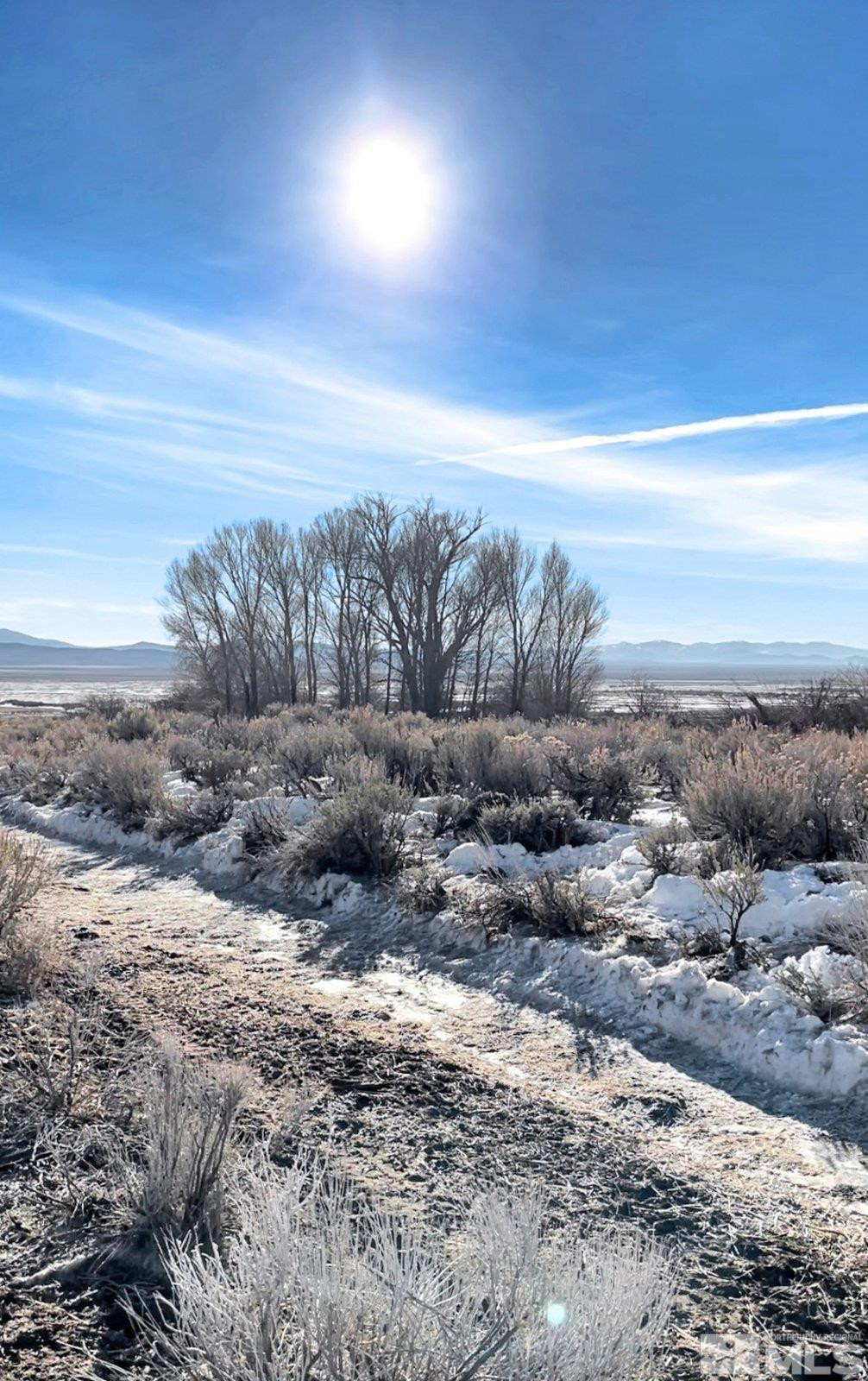 10873 Ruby Valley Road Spring Creek, NV 89815 - Photo 22 of 28 a view of a dry yard with wooden fence