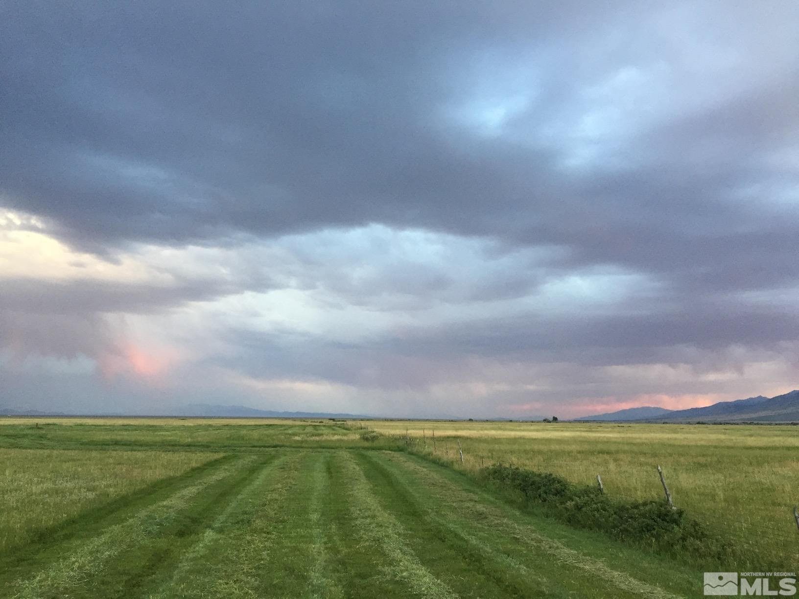 10873 Ruby Valley Road Spring Creek, NV 89815 - Photo 4 of 28 a outdoor view and a garden