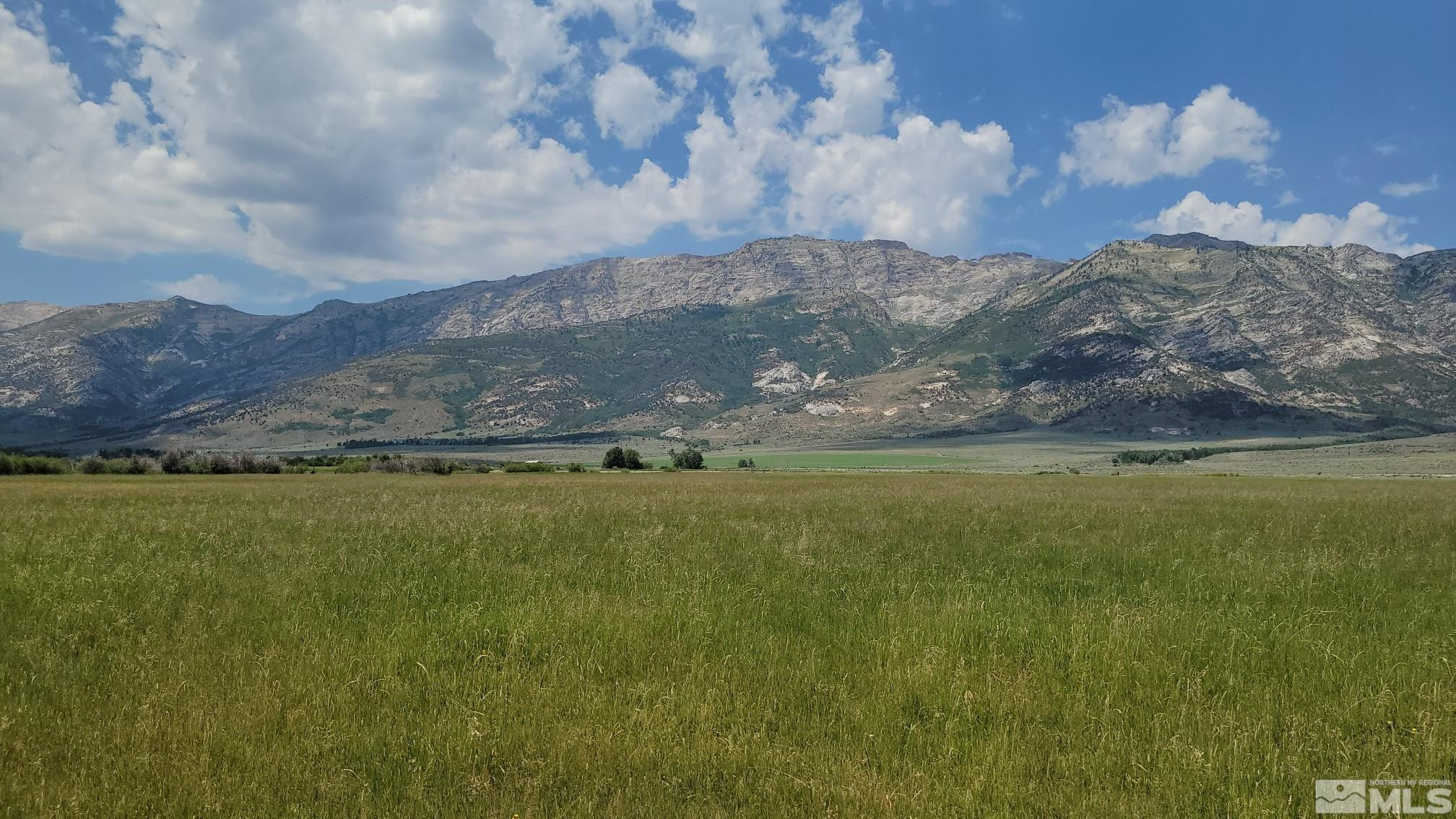 10873 Ruby Valley Road Spring Creek, NV 89815 - Photo 5 of 28 a view of lake with mountain