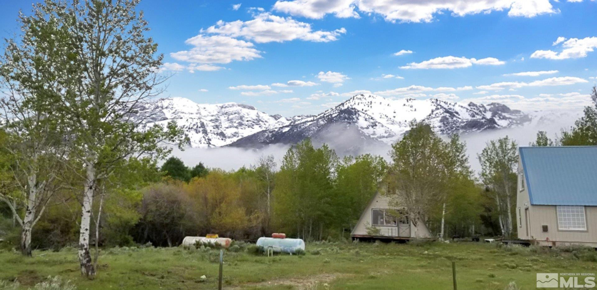 10873 Ruby Valley Road Spring Creek, NV 89815 - Photo 9 of 28 a view of a house with a yard