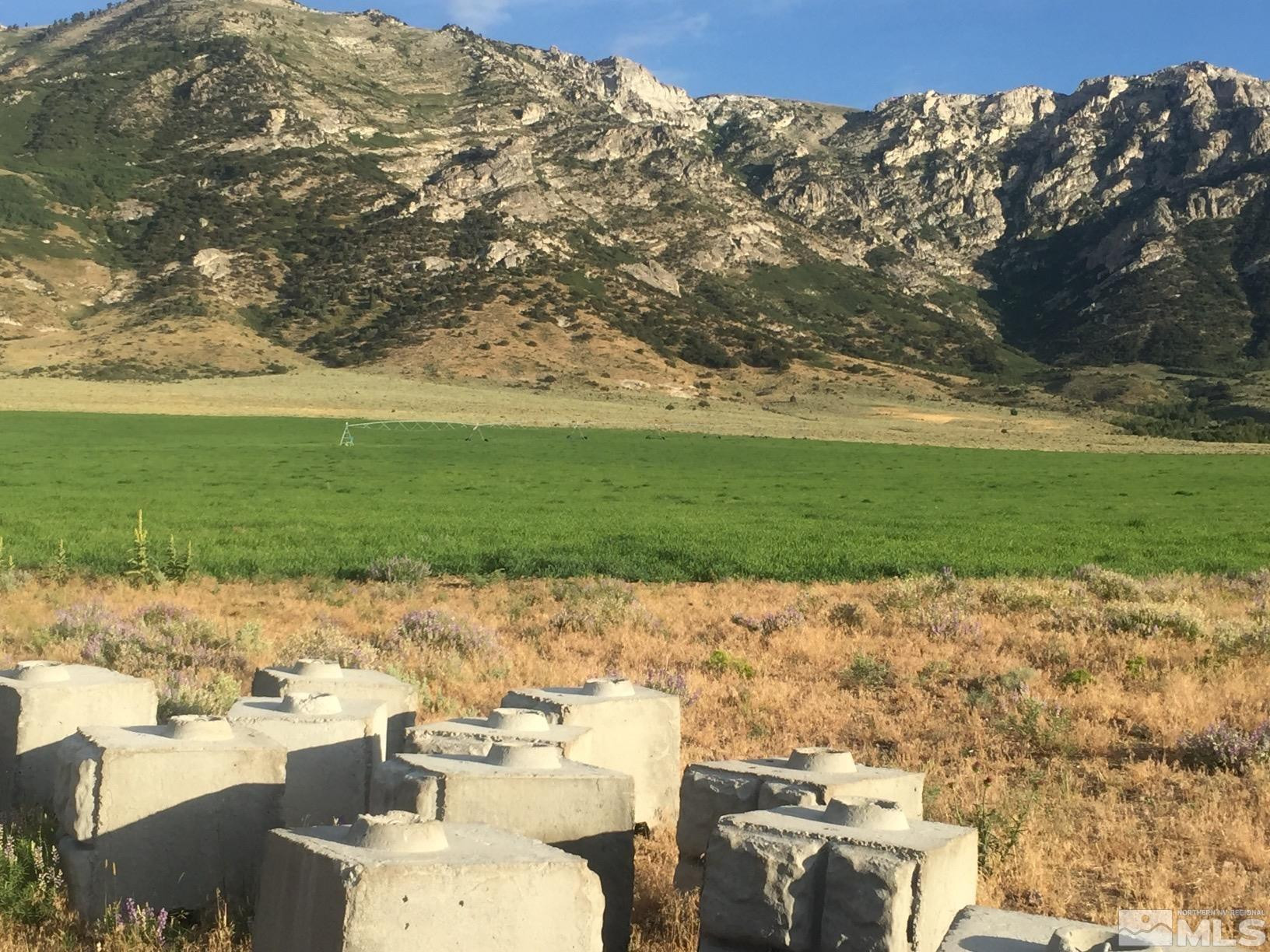 10873 Ruby Valley Road Spring Creek, NV 89815 - Photo 10 of 28 a view of a yard with an outdoor seating