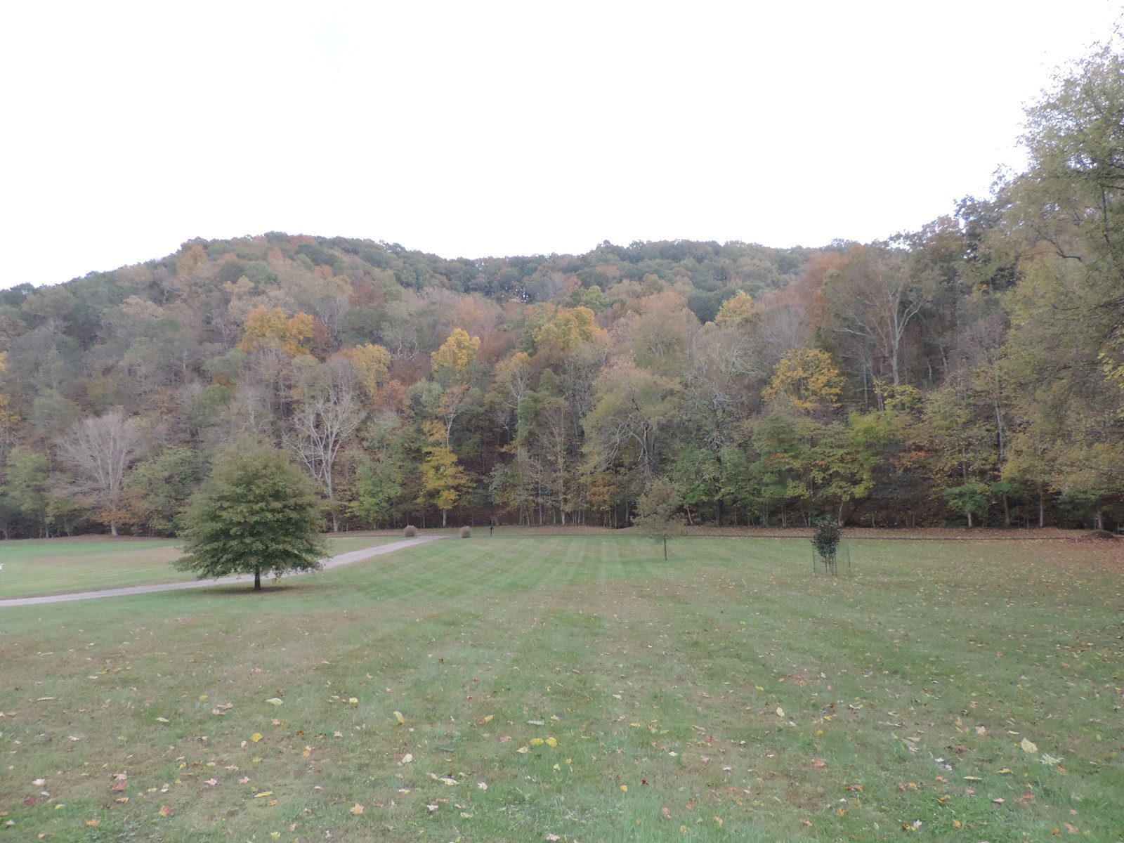 2523 Baker Road Goodlettsville, TN 37072 - Photo 11 of 50 Gallery Image 11