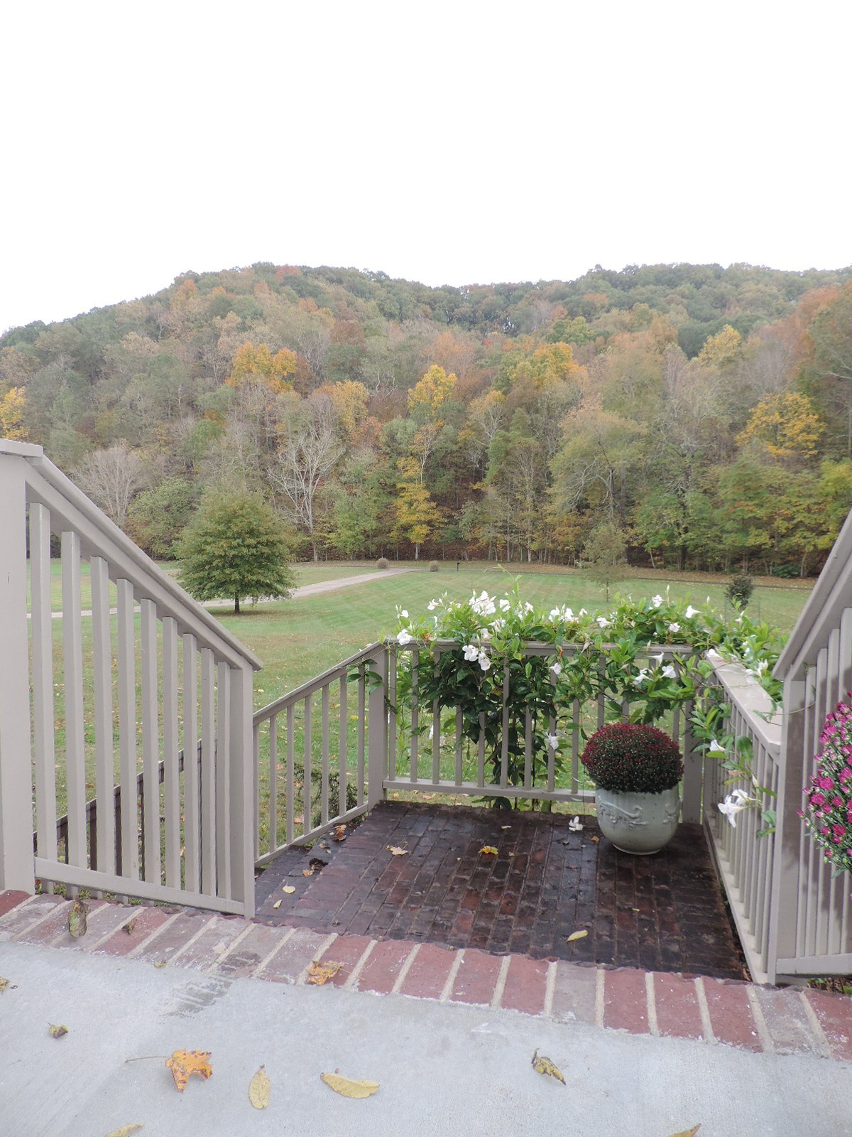 2523 Baker Road Goodlettsville, TN 37072 - Photo 7 of 50 Gallery Image 7