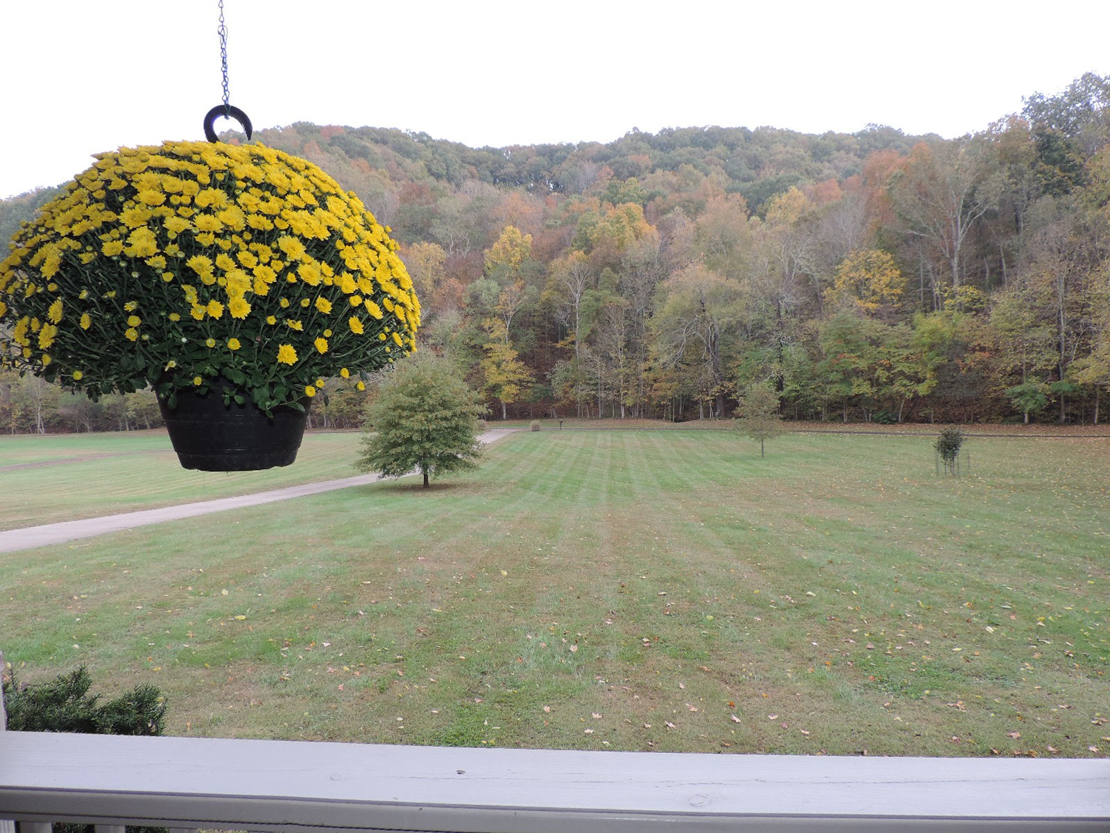 2523 Baker Road Goodlettsville, TN 37072 - Photo 10 of 50 Gallery Image 10