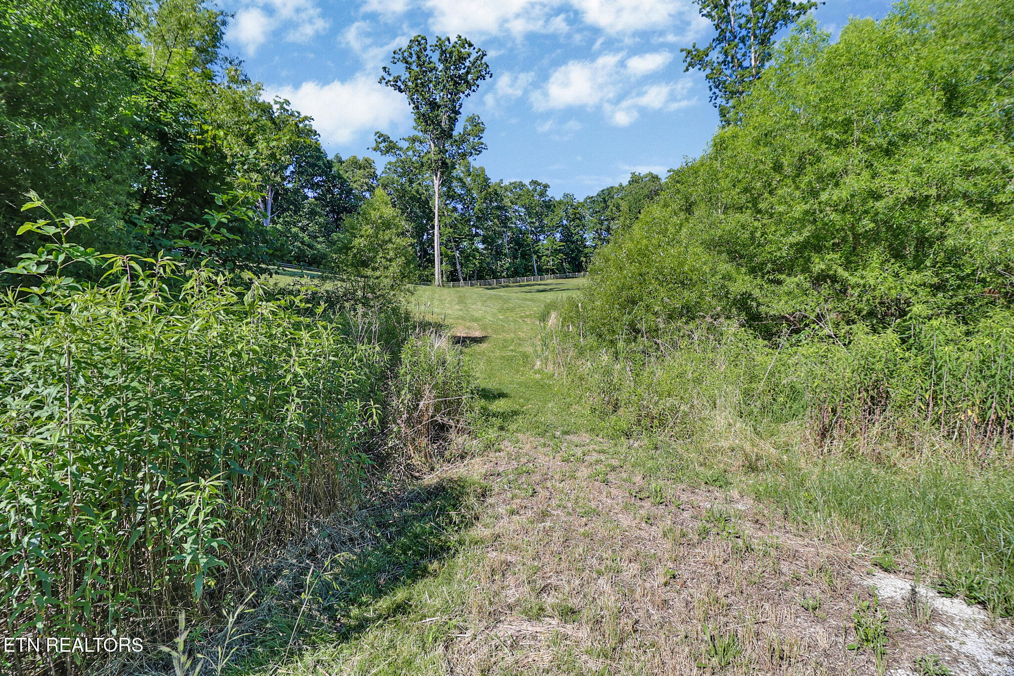 101 Duncan Hinds Road Jamestown, TN 38556 - Photo 29 of 59 Pasture 2