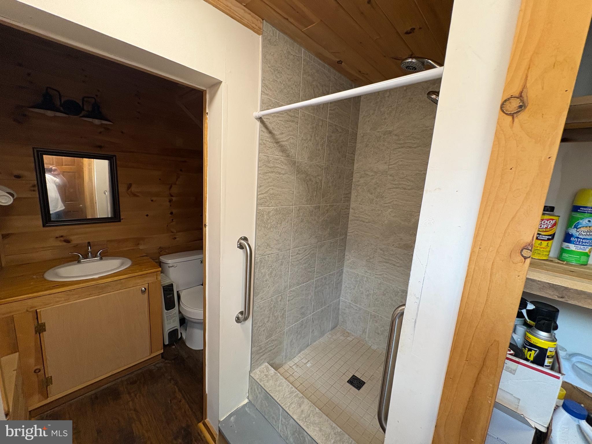 1400 Core Road Romney, WV 26757 - Photo 53 of 73 a bathroom with a sink and a shower