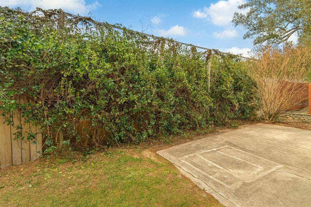 21135 Peckham Avenue Mount Dora, FL 32757 - Photo 30 of 39 a view of a yard