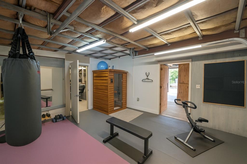 21135 Peckham Avenue Mount Dora, FL 32757 - Photo 37 of 39 a room with gym equipment