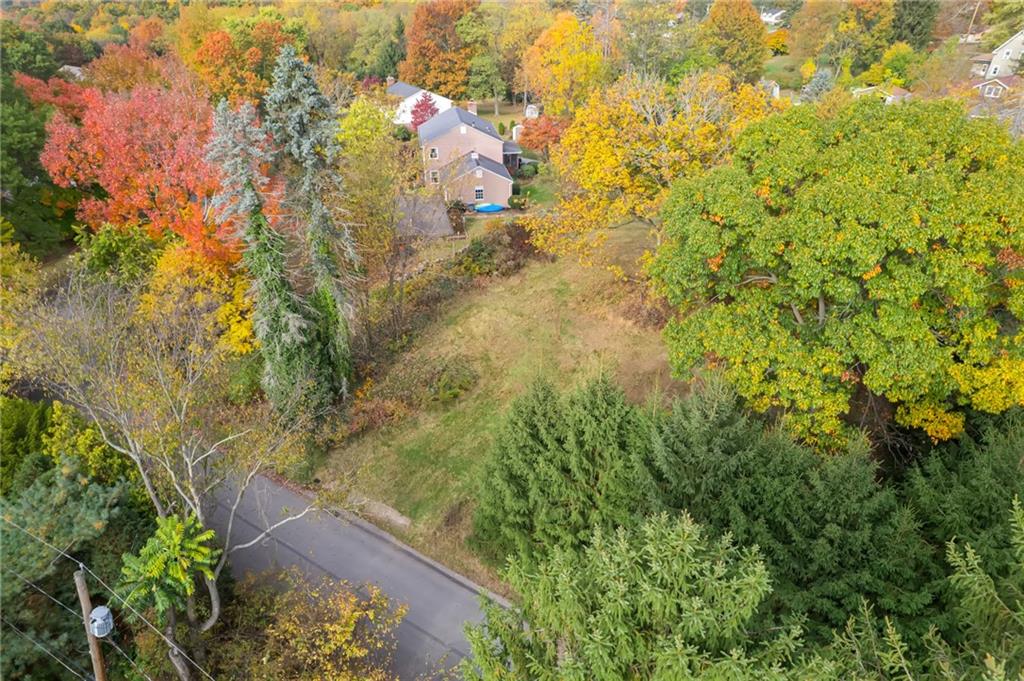 104 Maplewood Drive Beaver, PA 15009 - Photo 4 of 11 a view of a yard with plants and tree