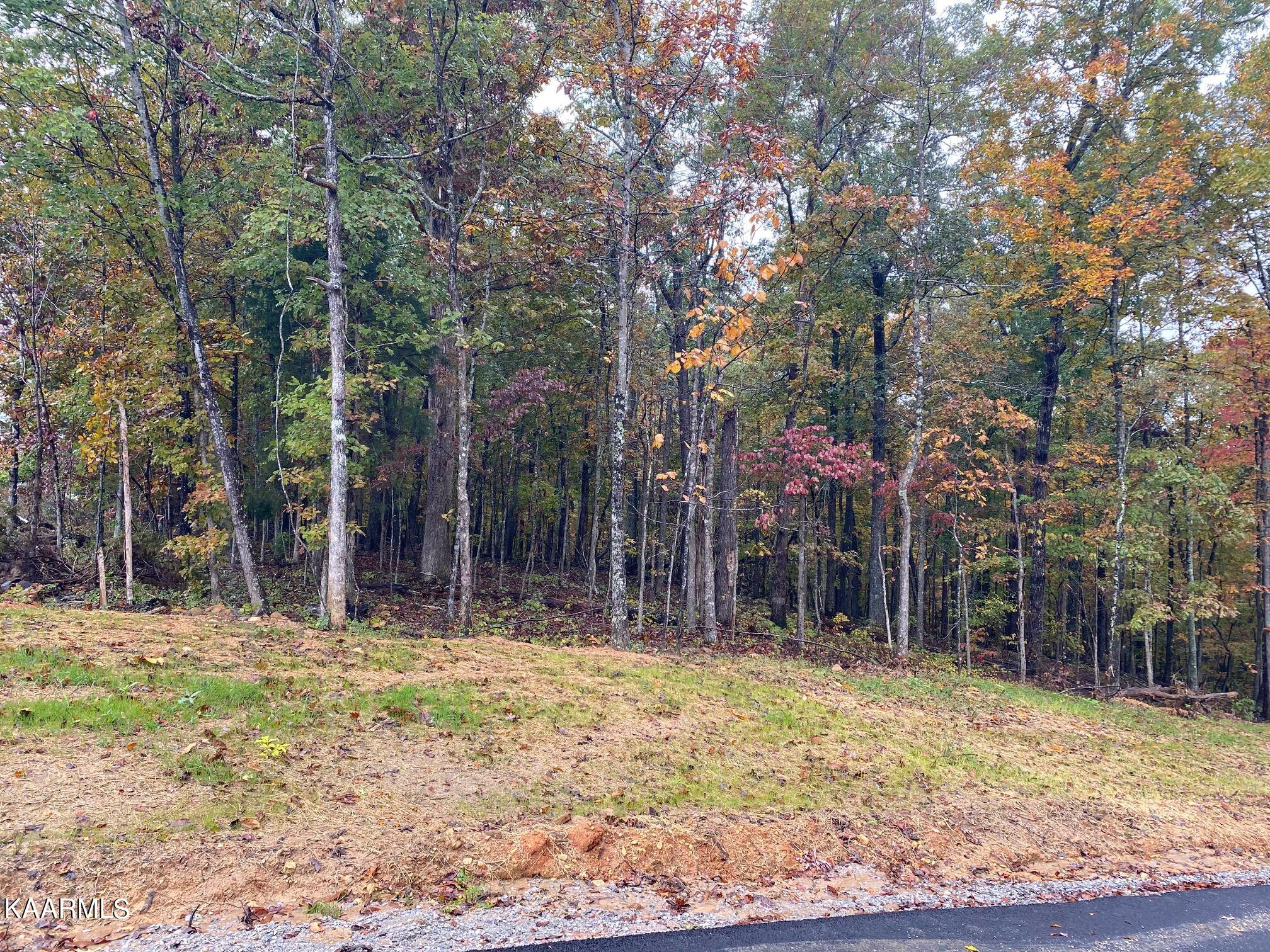 9000 Davis Ferry Road Loudon, TN 37774 - Photo 1 of 1 Davis Ferry Lot 11