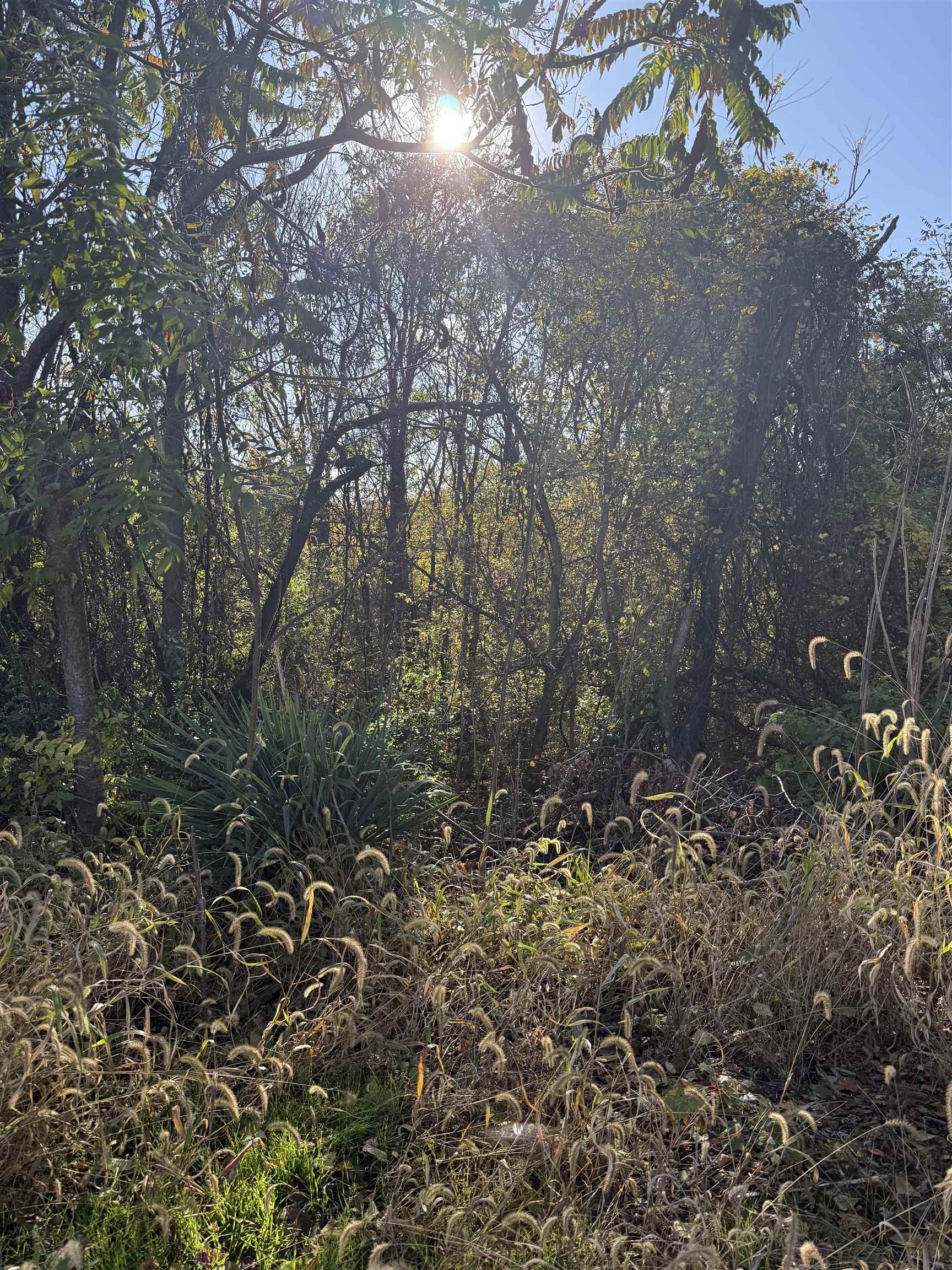 a view of an outdoor space