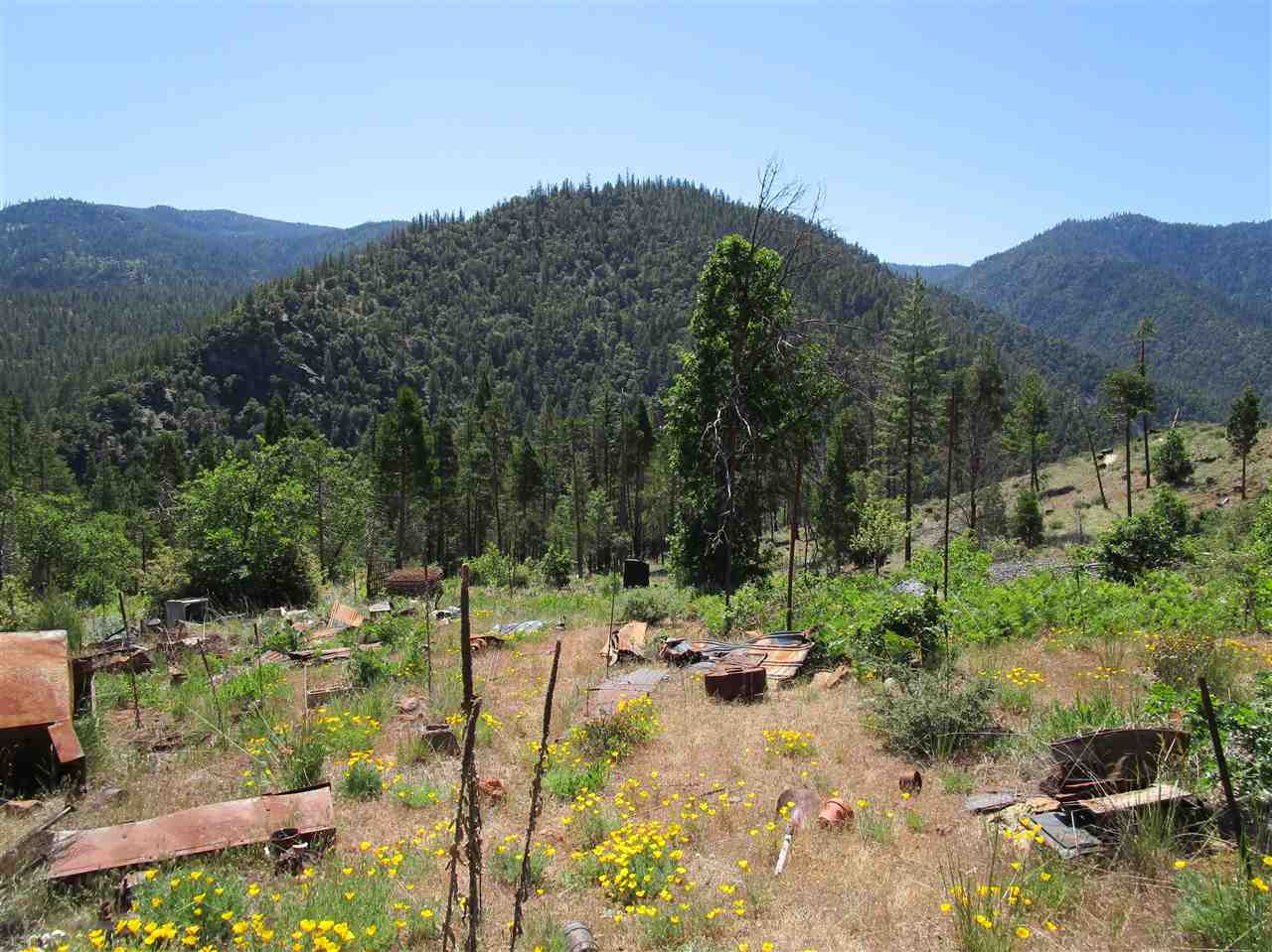 0 Scott River Road Scott Bar, CA 96085 - Photo 1 of 6 Gallery Image 1