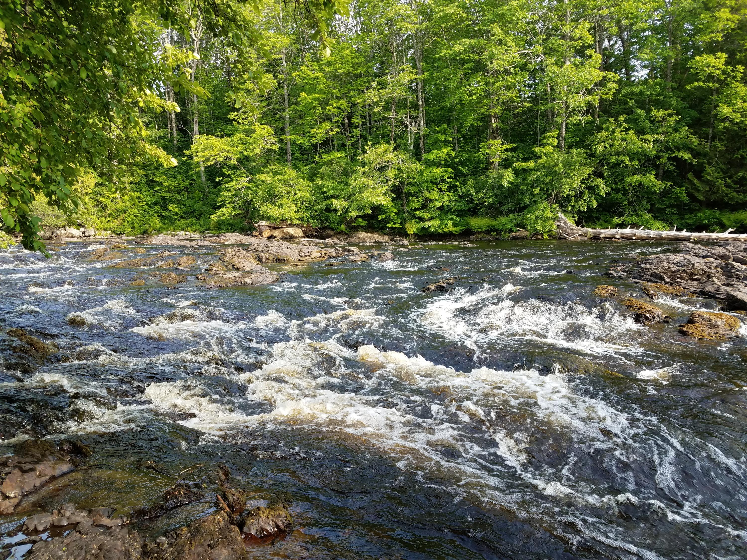 487 Airline Road Ellsworth, ME 04605 - Photo 49 of 61 River