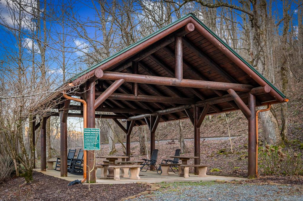351 Toccoa Preserve Lane Blue Ridge, GA 30513 - Photo 65 of 69 Community Area