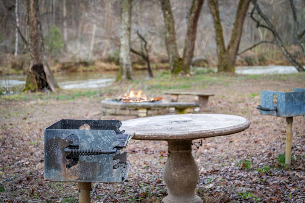 351 Toccoa Preserve Lane Blue Ridge, GA 30513 - Photo 68 of 69 Community Area