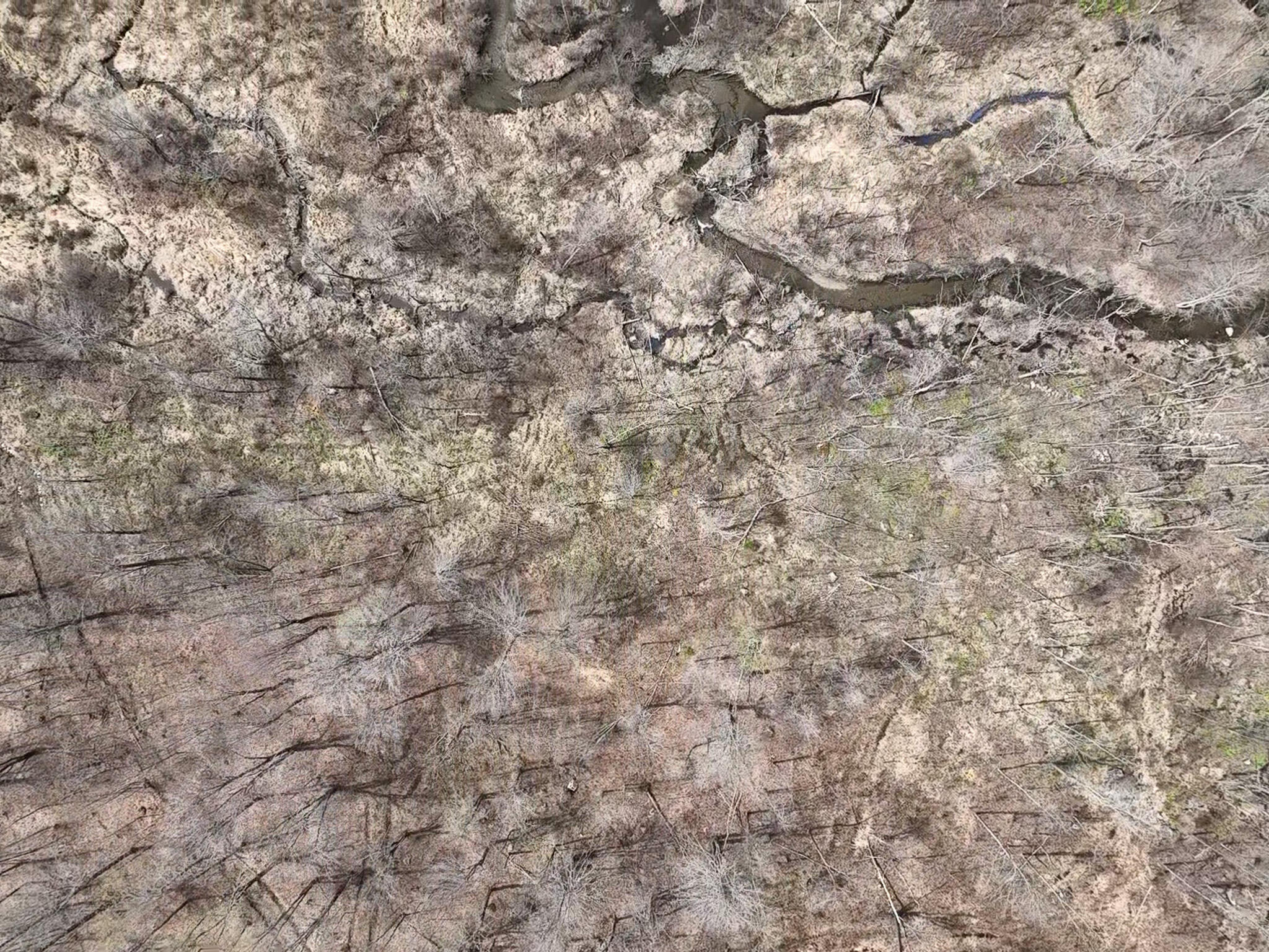 0 Center Hill Road Weld, ME 04285 - Photo 6 of 18