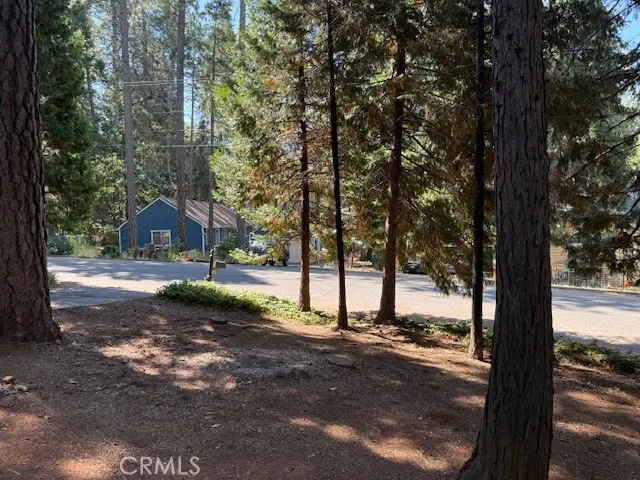 a view of a park with large trees