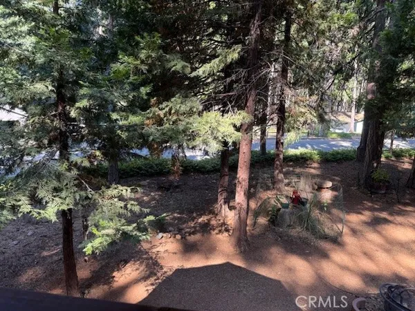 a view of a park with large trees