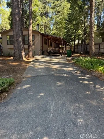 a view of a couches in the deck under a large tree