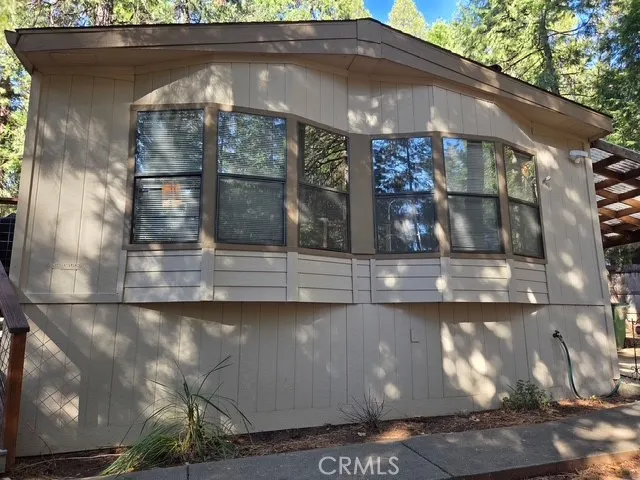 a view of a park that has large trees and a tree