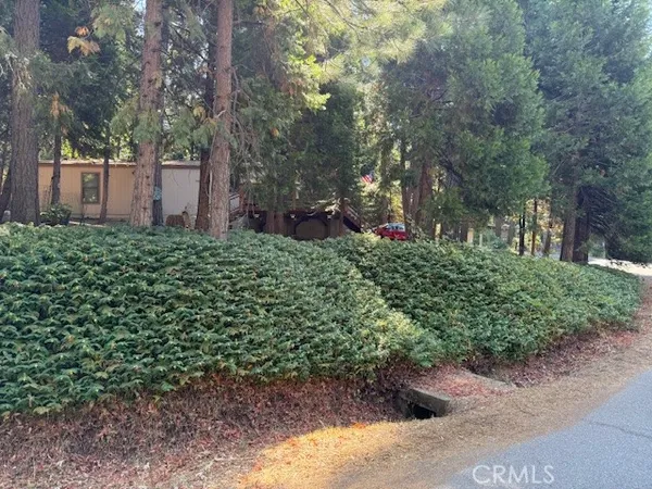 a view of a backyard with sitting area