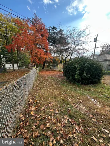 a view of a yard with plants and large trees