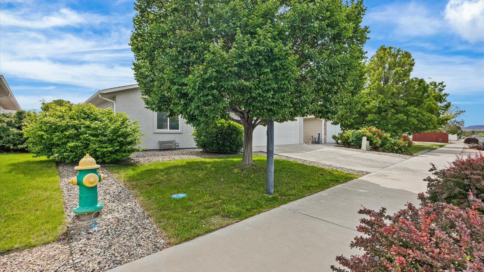 420-29 29 1/2 Road Grand Junction, CO 81504 - Photo 25 of 26 a view of a garden with a fountain