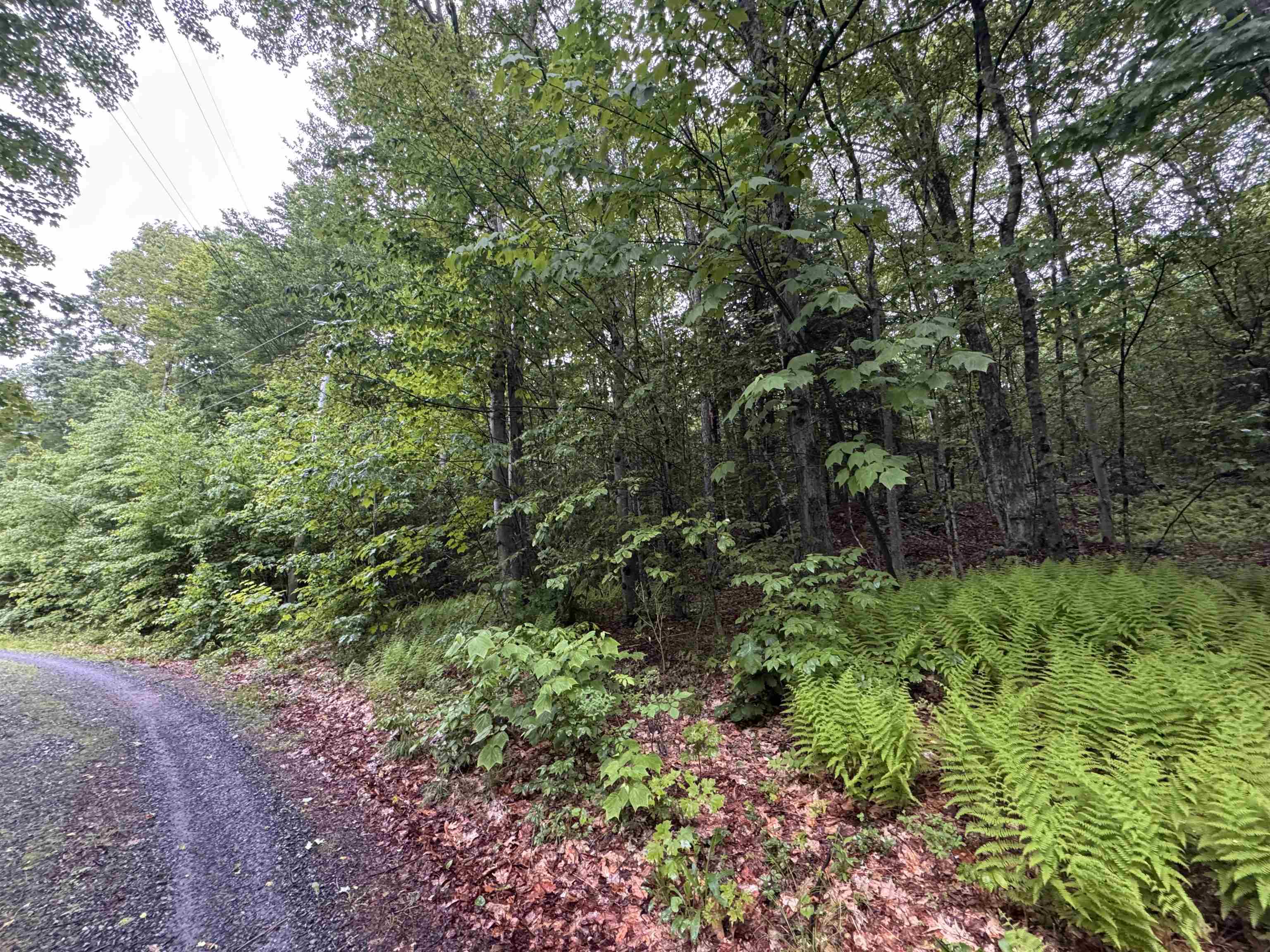 101 Gilsum Road, Unit 2 Sullivan, NH 03445 - Photo 7 of 7