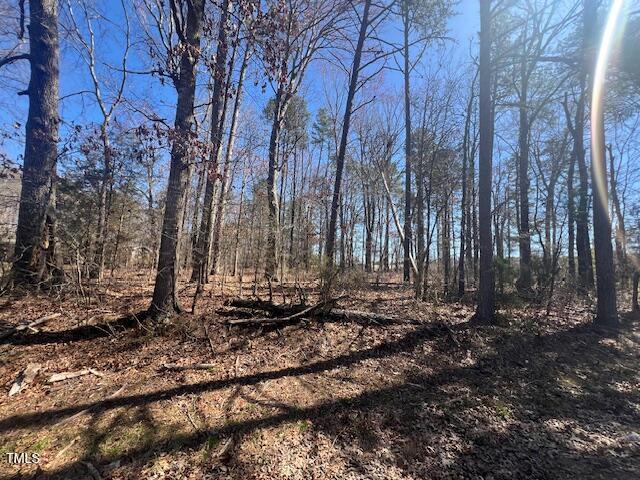 887 Bish Road Staley, NC 27355 - Photo 6 of 17 a view of a yard with trees