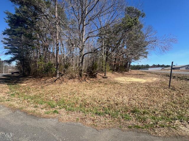 887 Bish Road Staley, NC 27355 - Photo 8 of 17 a view of yard with tree
