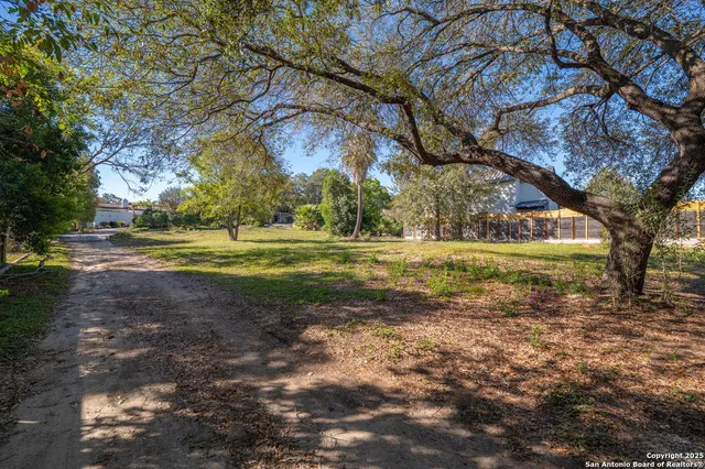a view of a yard with plants