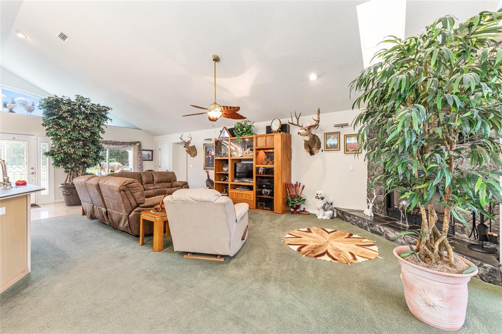255 Southwest 96th Lane Ocala, FL 34476 - Photo 27 of 92 a living room with furniture and a potted plant