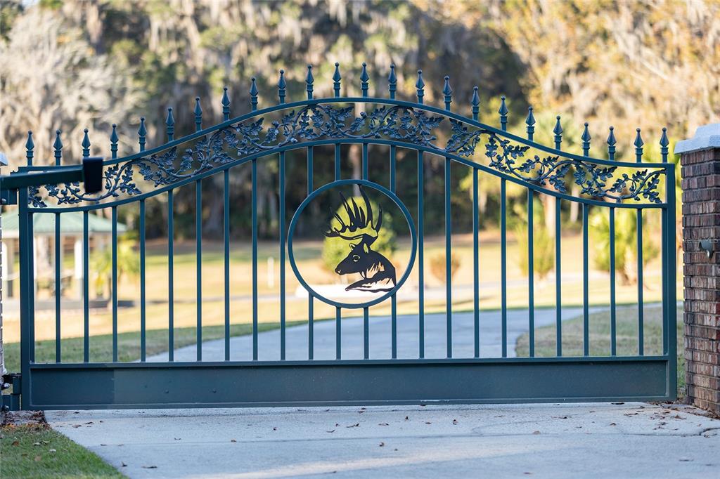 255 Southwest 96th Lane Ocala, FL 34476 - Photo 5 of 92