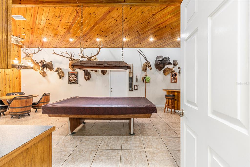 255 Southwest 96th Lane Ocala, FL 34476 - Photo 60 of 92