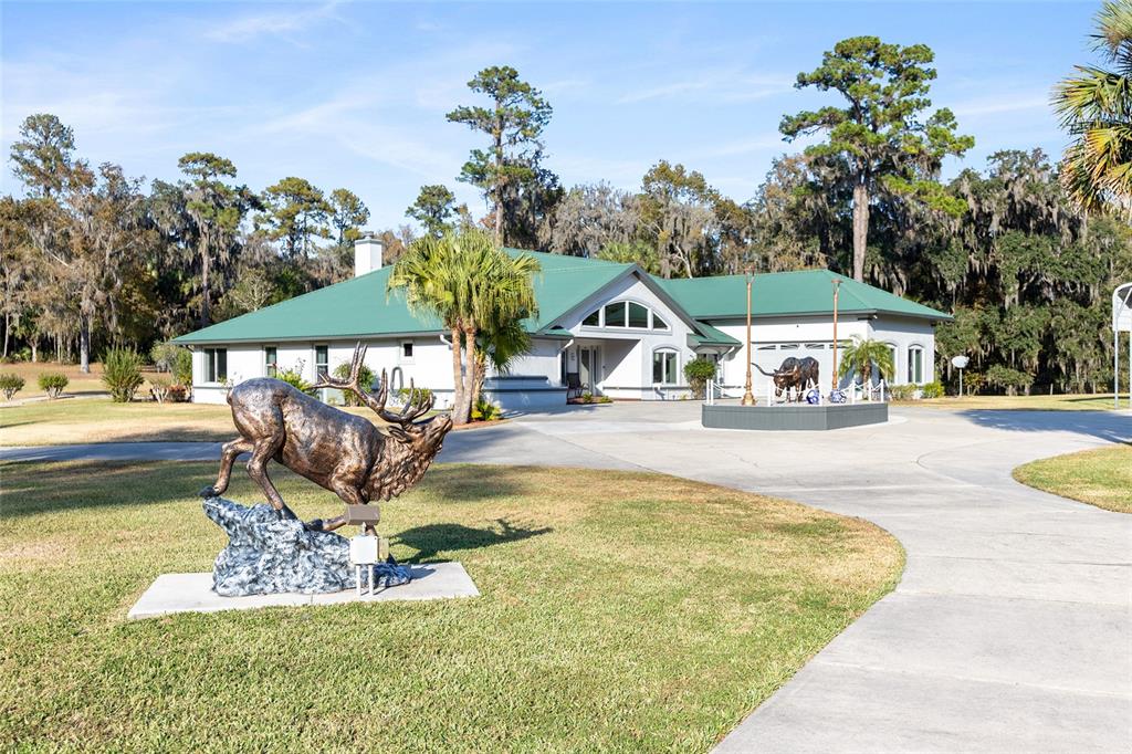 255 Southwest 96th Lane Ocala, FL 34476 - Photo 6 of 92